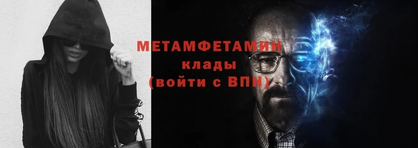 прущие грибы Сатка