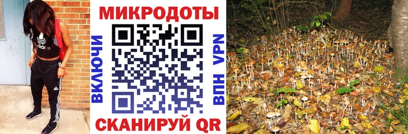 Галлюциногенные грибы Magic Shrooms  наркошоп  маркетплейс официальный сайт  Боровичи 
