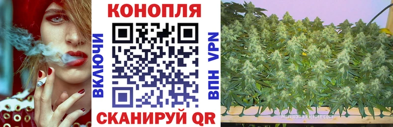 Каннабис план  закладка  МЕГА маркетплейс  Боровичи 